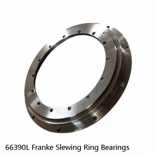 66390L Franke Slewing Ring Bearings