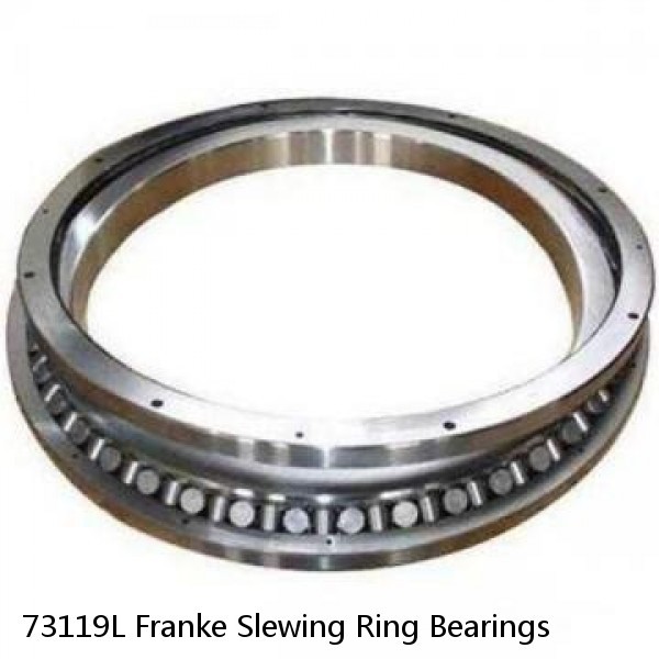 73119L Franke Slewing Ring Bearings