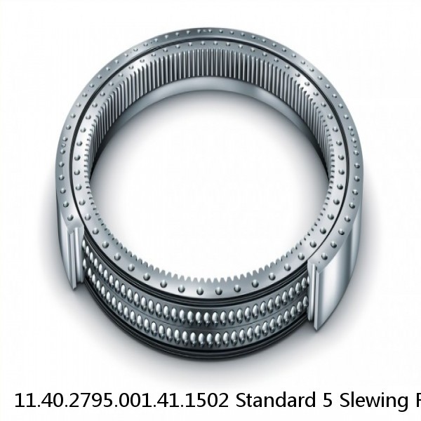 11.40.2795.001.41.1502 Standard 5 Slewing Ring Bearings