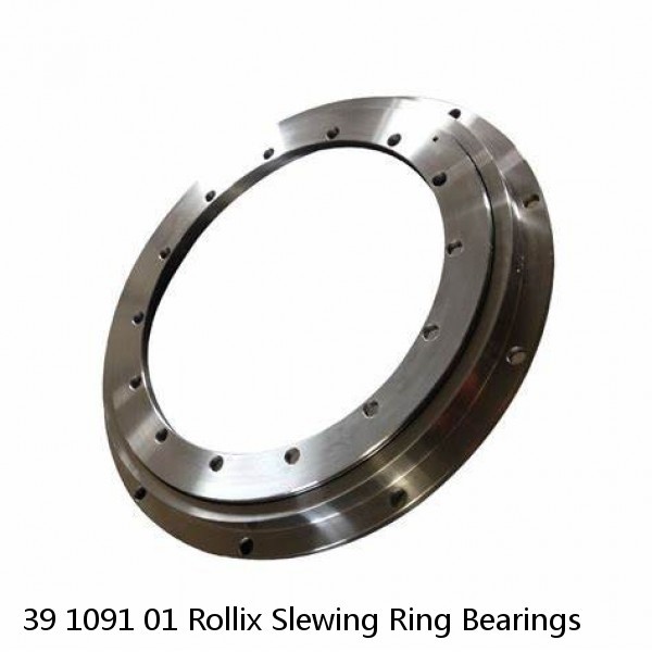 39 1091 01 Rollix Slewing Ring Bearings