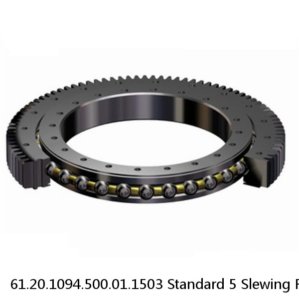 61.20.1094.500.01.1503 Standard 5 Slewing Ring Bearings