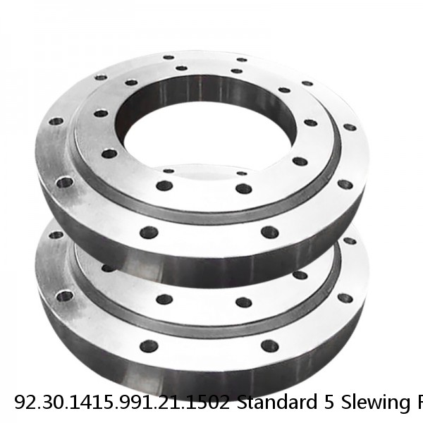 92.30.1415.991.21.1502 Standard 5 Slewing Ring Bearings