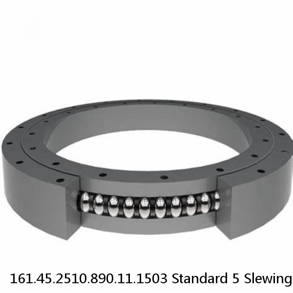 161.45.2510.890.11.1503 Standard 5 Slewing Ring Bearings