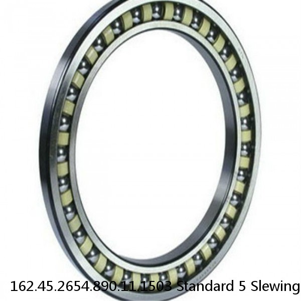 162.45.2654.890.11.1503 Standard 5 Slewing Ring Bearings