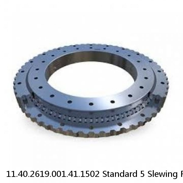 11.40.2619.001.41.1502 Standard 5 Slewing Ring Bearings