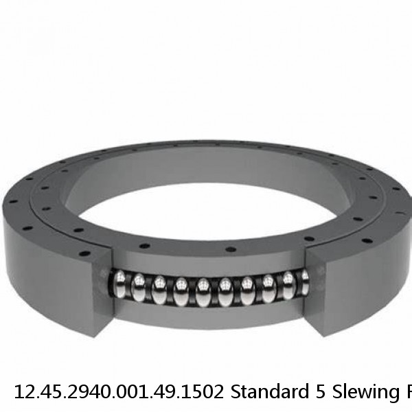 12.45.2940.001.49.1502 Standard 5 Slewing Ring Bearings