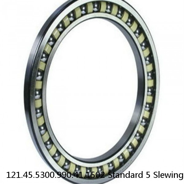 121.45.5300.990.41.1502 Standard 5 Slewing Ring Bearings