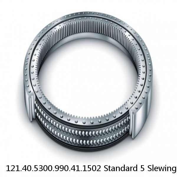 121.40.5300.990.41.1502 Standard 5 Slewing Ring Bearings