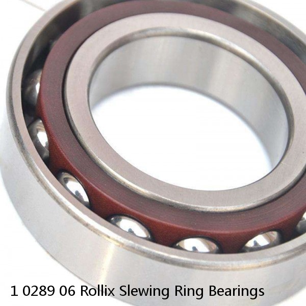 1 0289 06 Rollix Slewing Ring Bearings