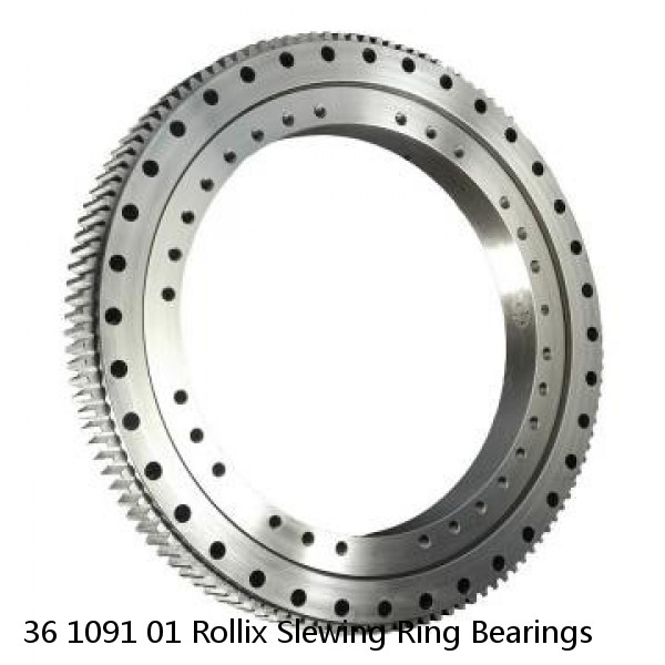 36 1091 01 Rollix Slewing Ring Bearings