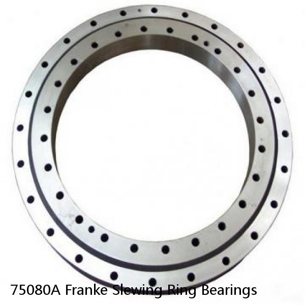 75080A Franke Slewing Ring Bearings