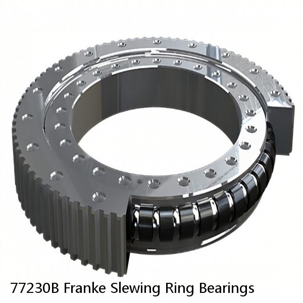 77230B Franke Slewing Ring Bearings