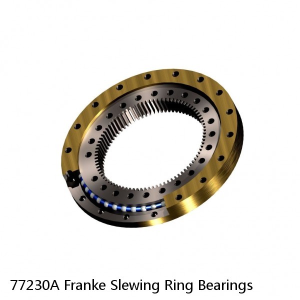 77230A Franke Slewing Ring Bearings