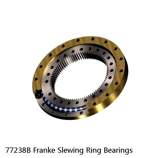 77238B Franke Slewing Ring Bearings