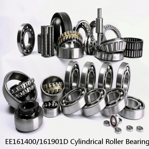 EE161400/161901D Cylindrical Roller Bearings