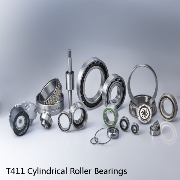 T411 Cylindrical Roller Bearings