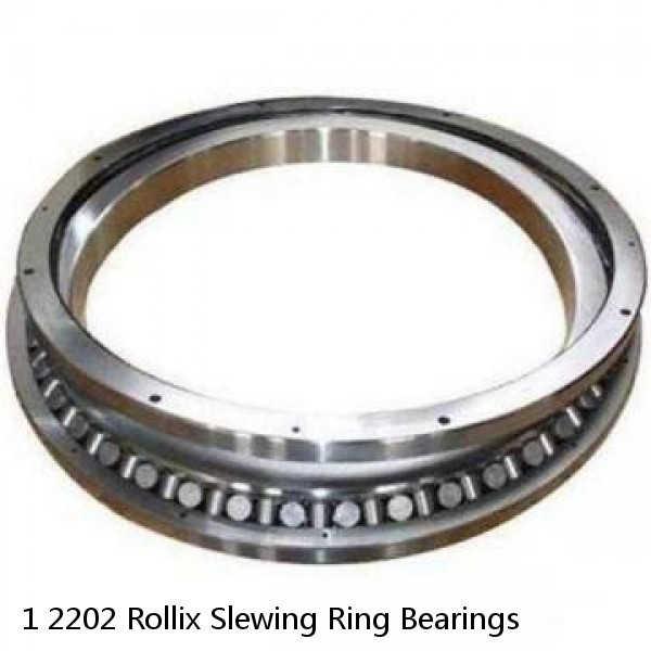 1 2202 Rollix Slewing Ring Bearings