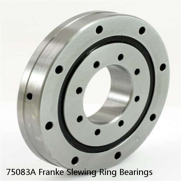 75083A Franke Slewing Ring Bearings