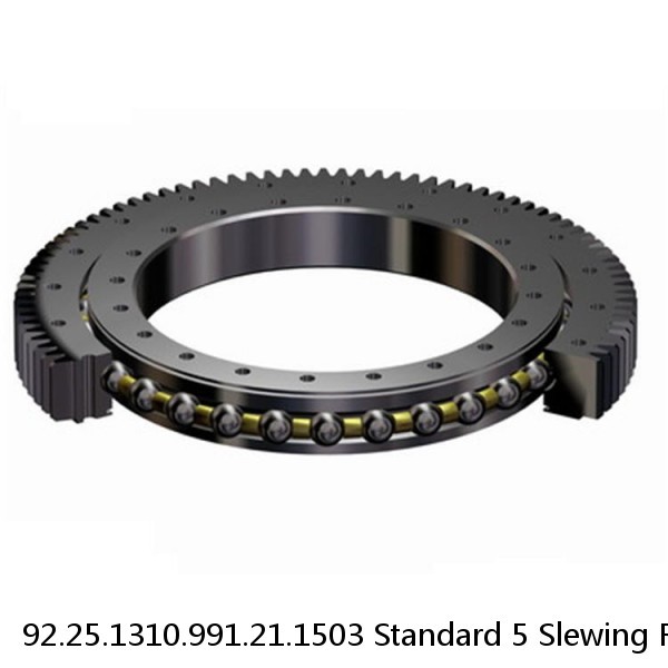 92.25.1310.991.21.1503 Standard 5 Slewing Ring Bearings