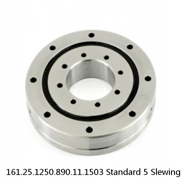 161.25.1250.890.11.1503 Standard 5 Slewing Ring Bearings