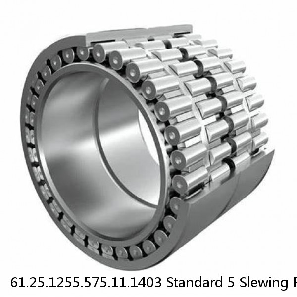 61.25.1255.575.11.1403 Standard 5 Slewing Ring Bearings