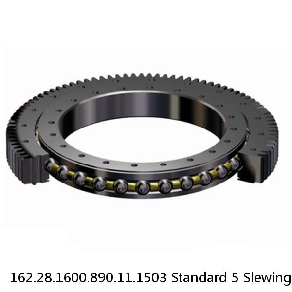 162.28.1600.890.11.1503 Standard 5 Slewing Ring Bearings