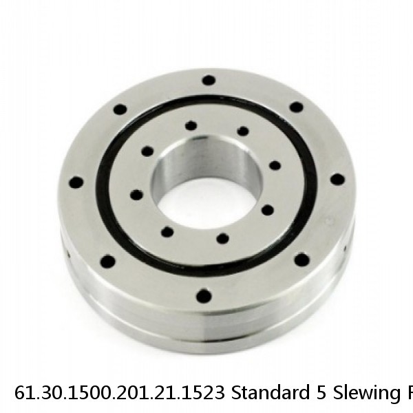 61.30.1500.201.21.1523 Standard 5 Slewing Ring Bearings