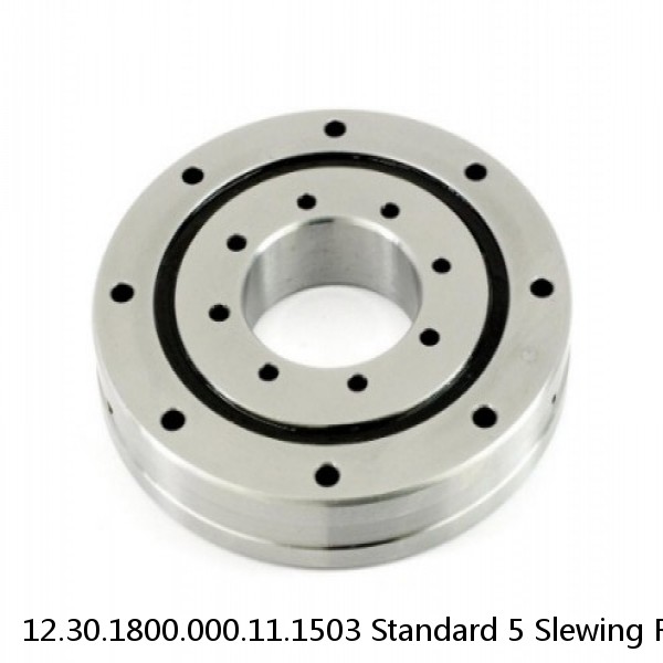 12.30.1800.000.11.1503 Standard 5 Slewing Ring Bearings