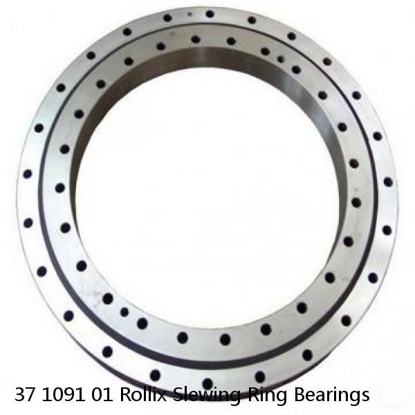 37 1091 01 Rollix Slewing Ring Bearings