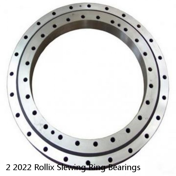 2 2022 Rollix Slewing Ring Bearings