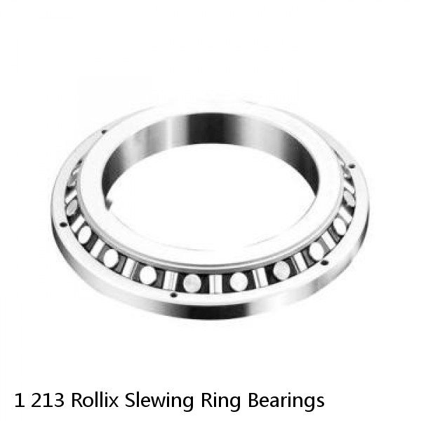 1 213 Rollix Slewing Ring Bearings