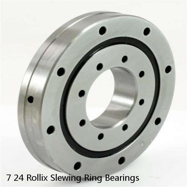 7 24 Rollix Slewing Ring Bearings