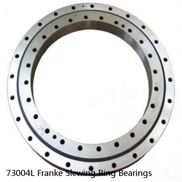 73004L Franke Slewing Ring Bearings