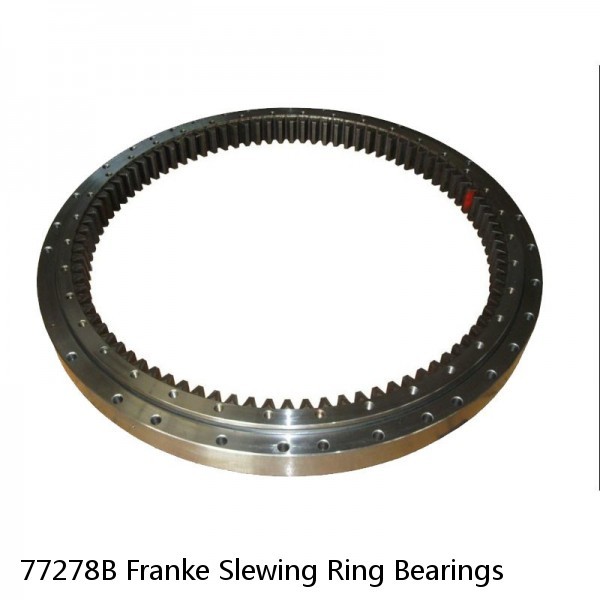 77278B Franke Slewing Ring Bearings