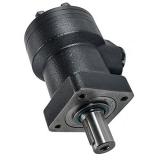 Case 9007B Hydraulic Final Drive Motor