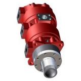 Case 161320A1 Hydraulic Final Drive Motor